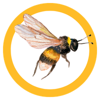 Bee Happy Hives